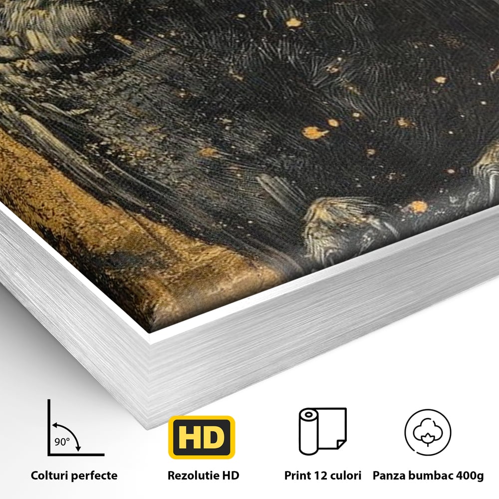 Detaliu al suprafetei: tablou canvas cu bufnita neagra si fundal auriu, in rama de aluminiu argintiu